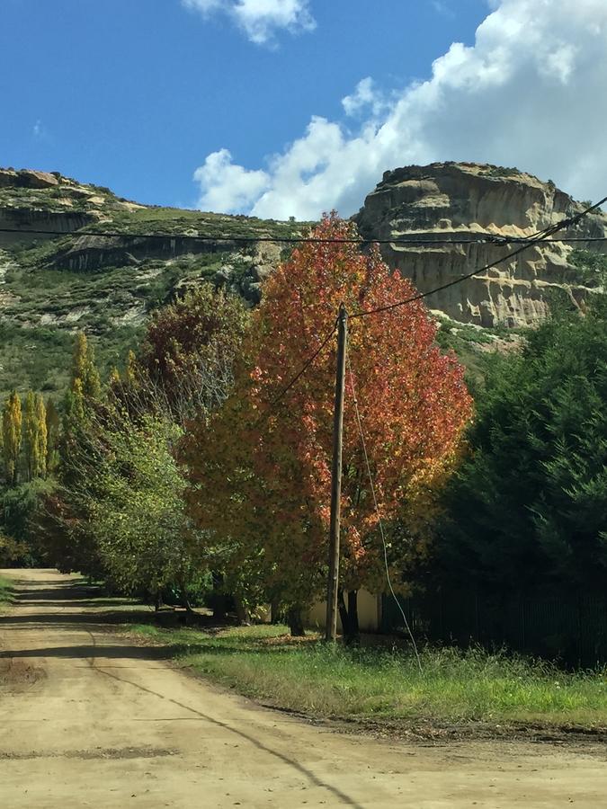 Zwartmodder Clarens Lägenhet Exteriör bild